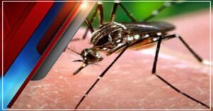 Increased risk of dengue-malaria-chikungunya-Hillvani News