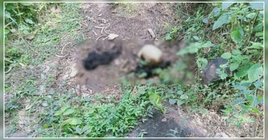Skeleton of missing pregnant woman found. Hillvani News