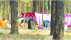 Illegal occupation of forest land under the guise of religious places. Hillvani News