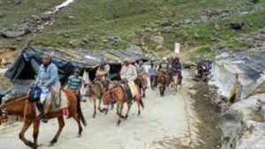 16 horses and mules died in 15 days on Kedarnath route. Hillvani News