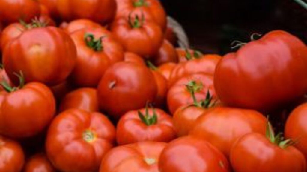 Uttarakhand-Tomato-Prices-Hillvani-News