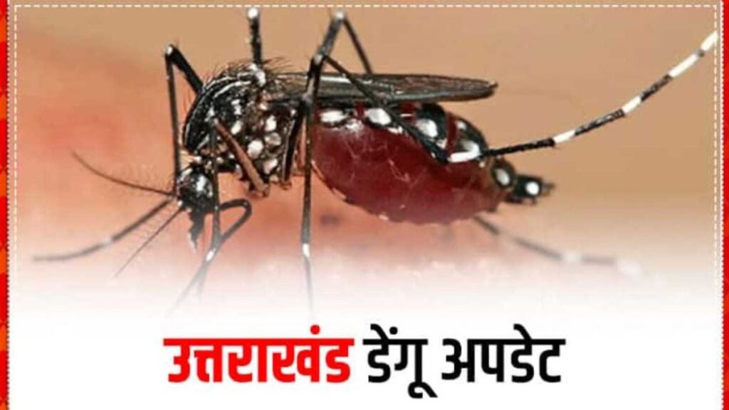 Dengue havoc in Uttarakhand. Hillvani News