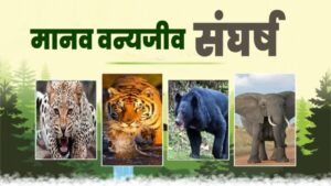 human wildlife conflict. Hillvani News