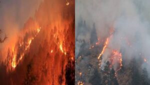Forest fire in Uttarakhand