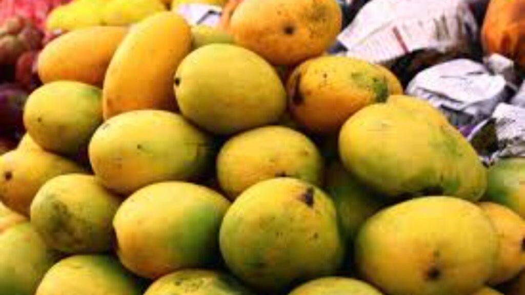 Mango. Hillvani News