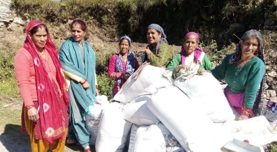 रुद्रप्रयाग: आजीविका समूह द्वारा तीनों विकास खंडों में 68 लाख 61 हजार से अधिक मंडुवे का किया गया है व्यवसाय…