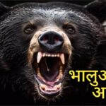 Bear turns ferocious in Uttarakhand. Hillvani