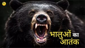 Bear turns ferocious in Uttarakhand. Hillvani