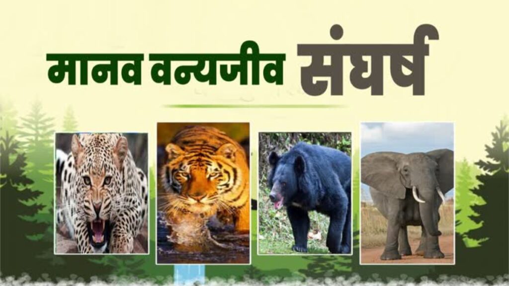 Human Wildlife Conflict. Hillvani