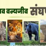 Human Wildlife Conflict. Hillvani