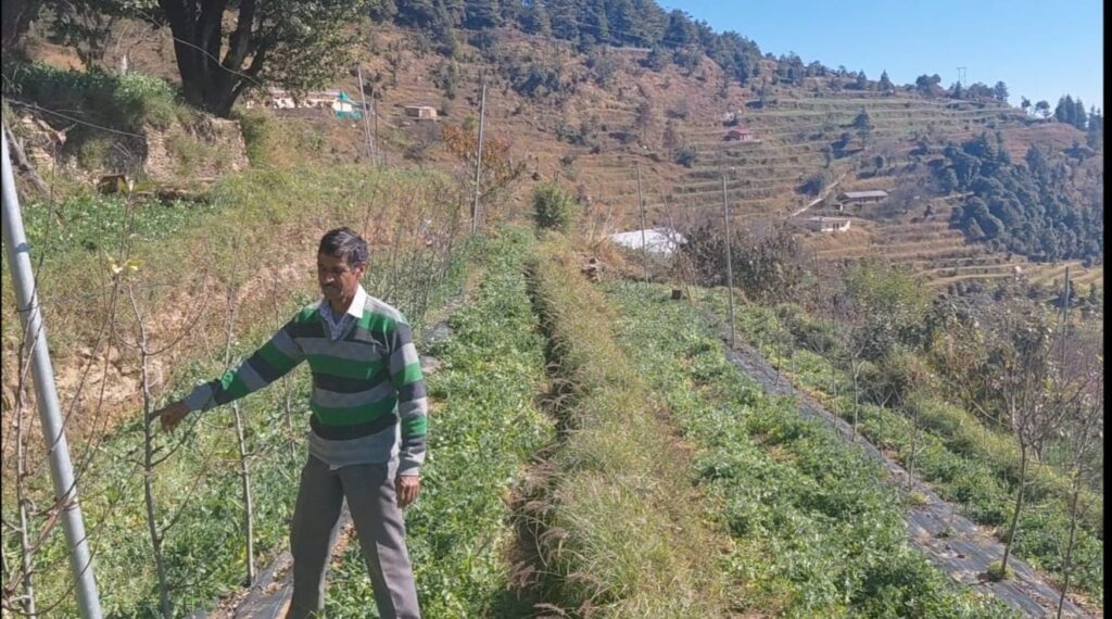 चोपडियालगांव के खुशीराम डबराल: पहाड़ की मिट्टी से आत्मनिर्भरता की