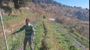 चोपडियालगांव के खुशीराम डबराल: पहाड़ की मिट्टी से आत्मनिर्भरता की