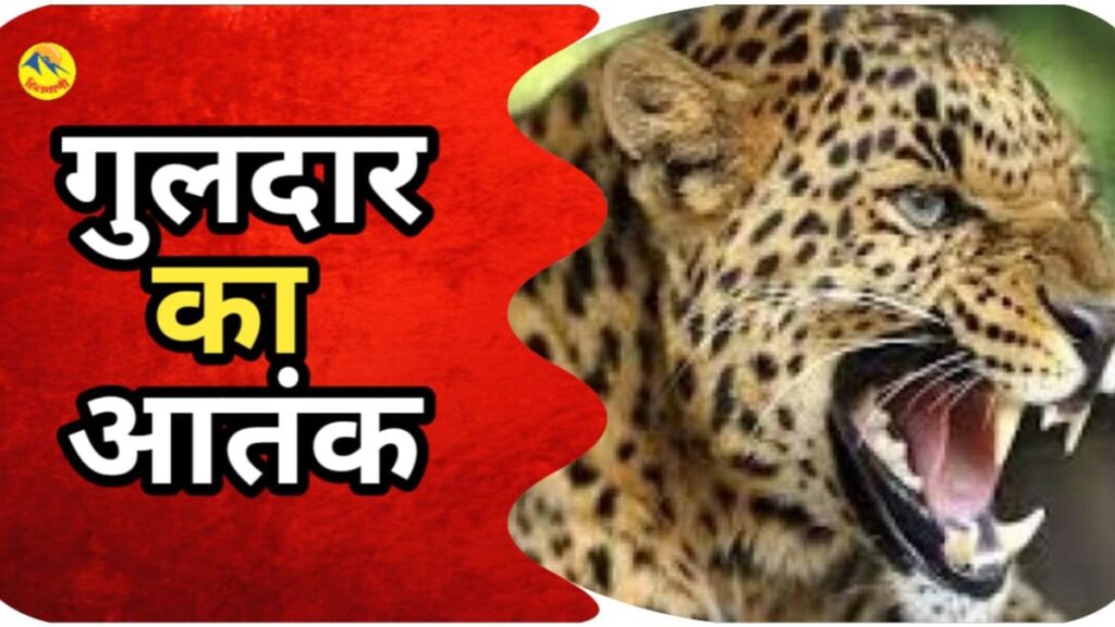 Terror of Guldar. Hillvani