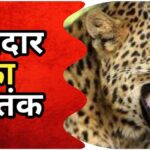 Terror of Guldar. Hillvani