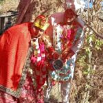 The bride and groom planted a tree in the courtyard. Hillvani