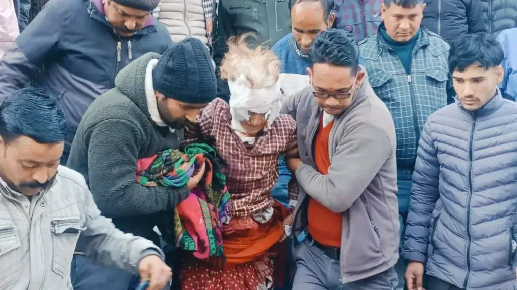 Elderly woman attacked by bear. Hillvani