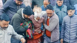 Elderly woman attacked by bear. Hillvani