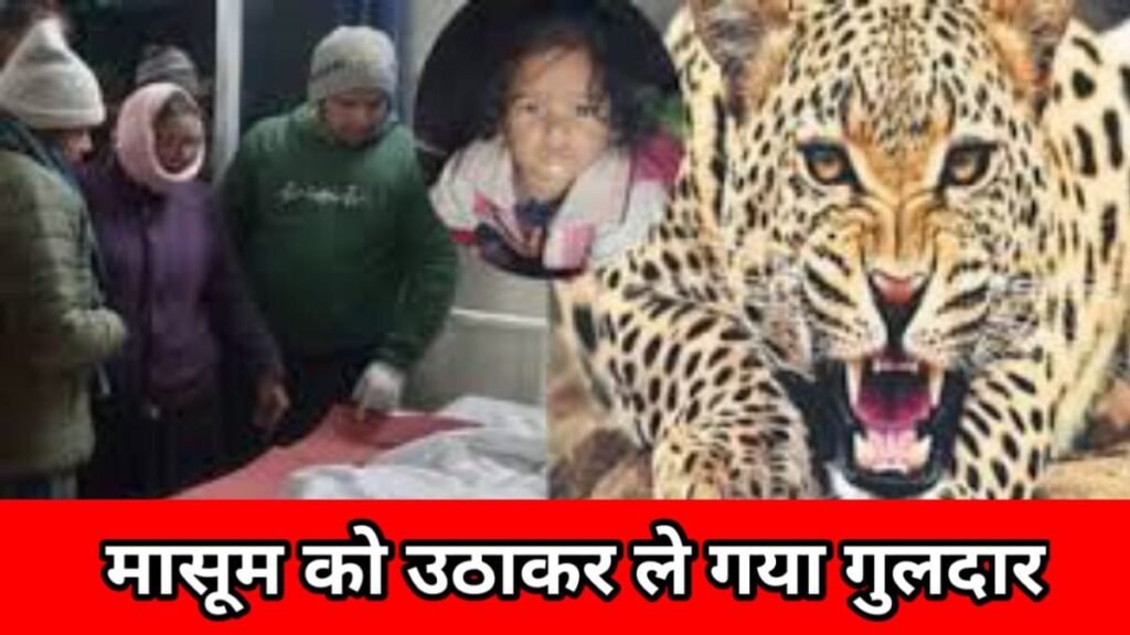 WhatsApp Image 2026-01-25 at 10.08.23 AM