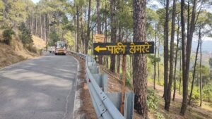 pali homestay. Hillvani